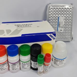 核酸酶定量检测试剂盒