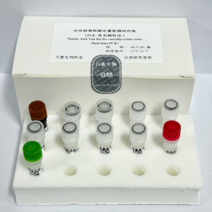 水痘病毒核酸定量检测试剂盒（PCR-荧光探针法）