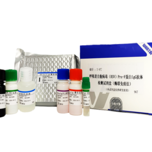 呼吸道合胞病毒(RSV)PreF蛋白IgG抗体检测试剂盒(酶联免疫法)