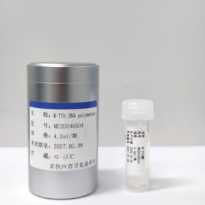 M-TTh DNA polymerase
