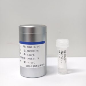 抗体B（8G11G4）