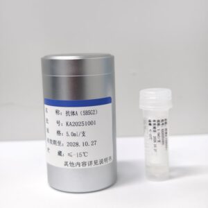 抗体A（5B5G2）