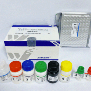 肠道病毒CVA16型抗原定量检测试剂盒（酶联免疫法）