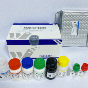 肠道病毒CVA6型完整颗粒抗原定量检测试剂盒（酶联免疫法）