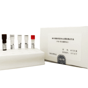 MDCK细胞残留DNA定量检测试剂盒(PCR-荧光探针法)