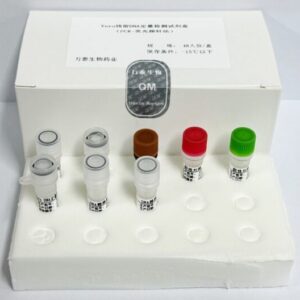Vero残留DNA定量检测试剂盒（PCR-荧光探针法）