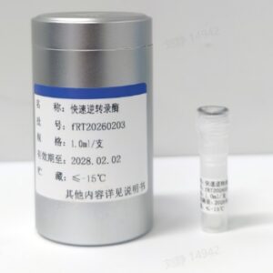 快速逆转录酶